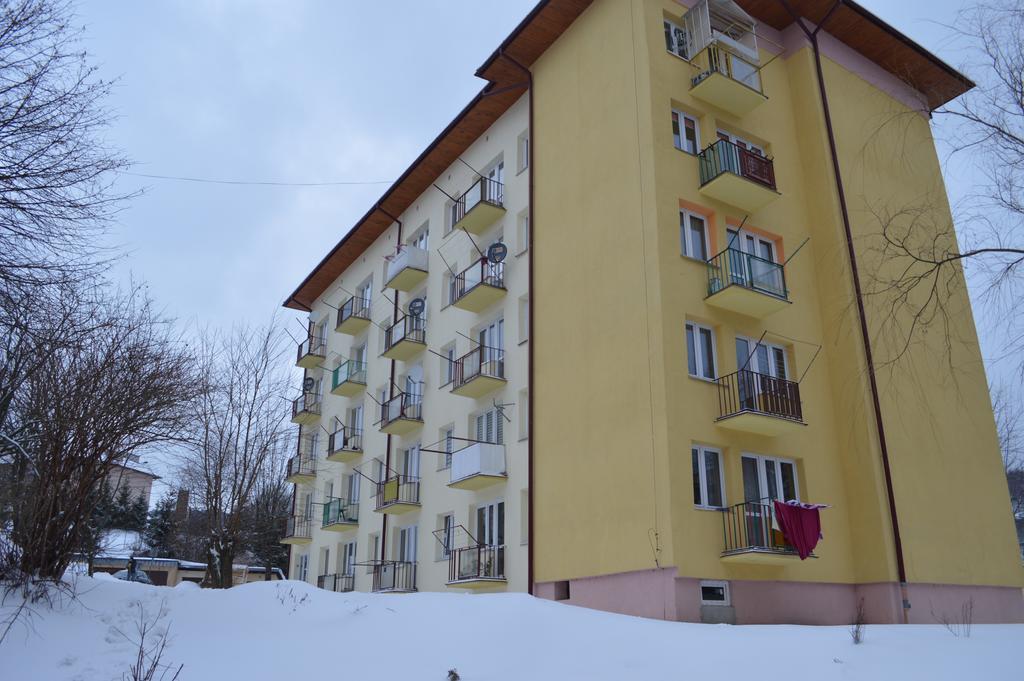 Apartament Ustrzyki Ustrzyki Dolne Exterior foto